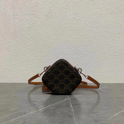 Celine Cube Box Bag Triomphe Black Brown Canvas & Calfskin