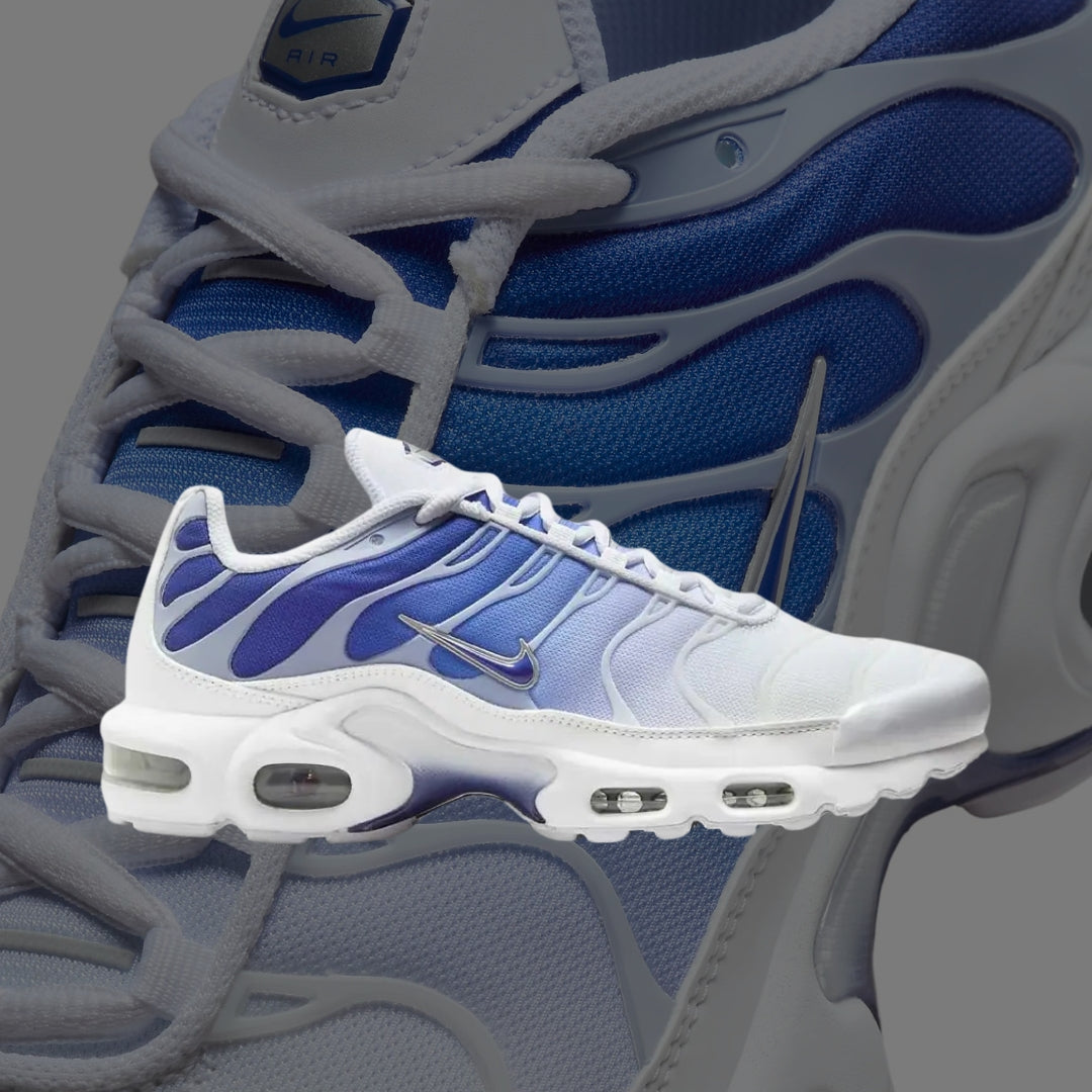 Air Max Plus TN Blue Fade