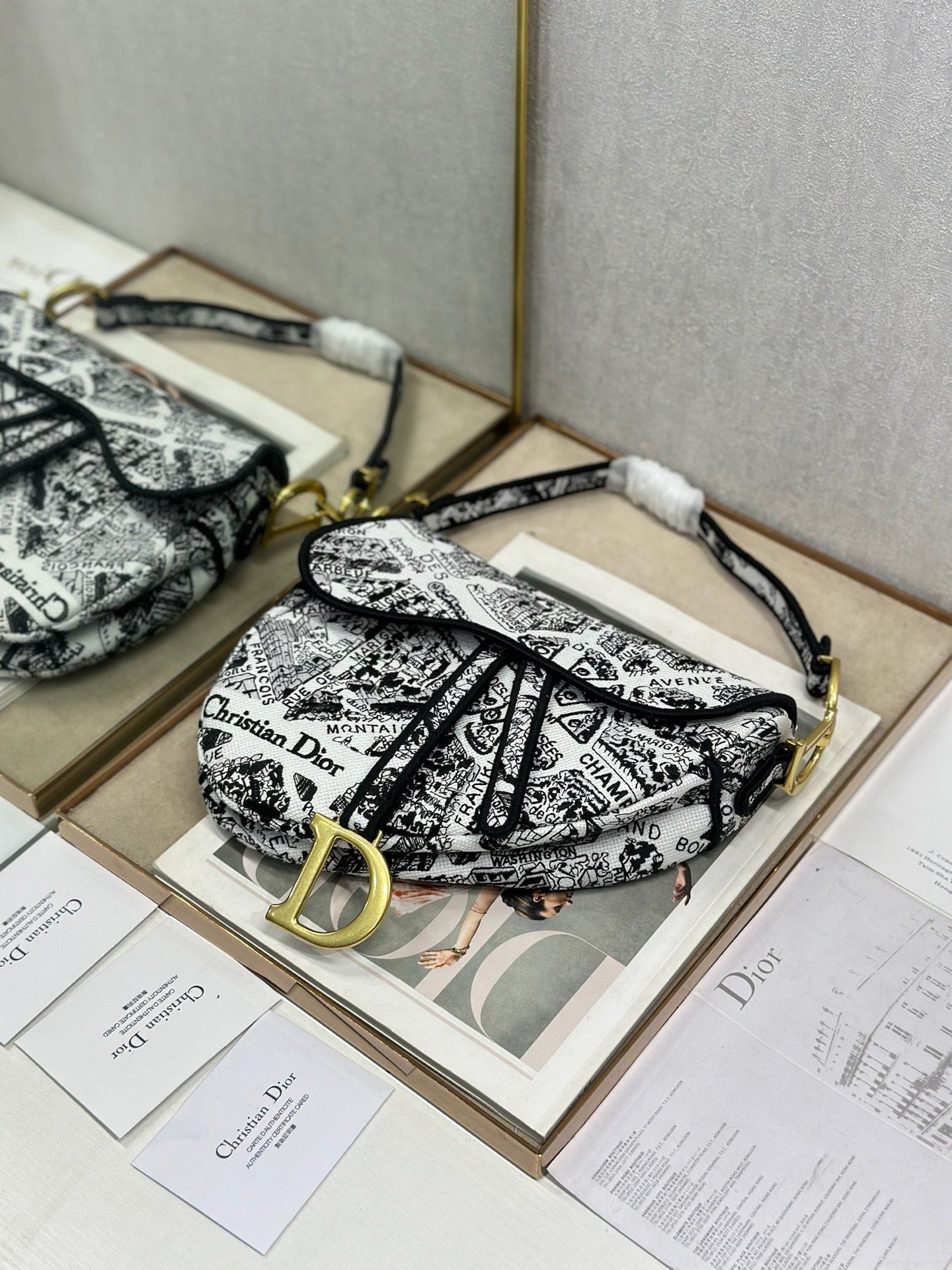 Dior 2026 Striking Black White Plan de Paris Pattern 25.5cm Saddle Bag 289478